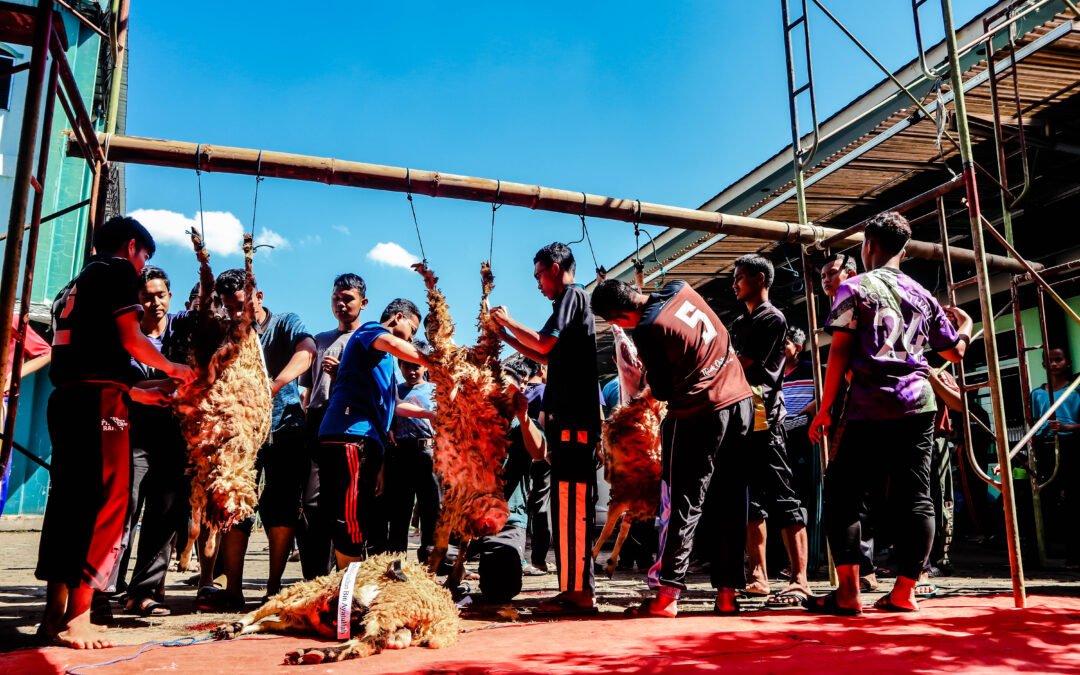 Pelaksanaan Kurban 1443 Hijriah